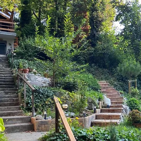 Tiny Forest Leányfalu